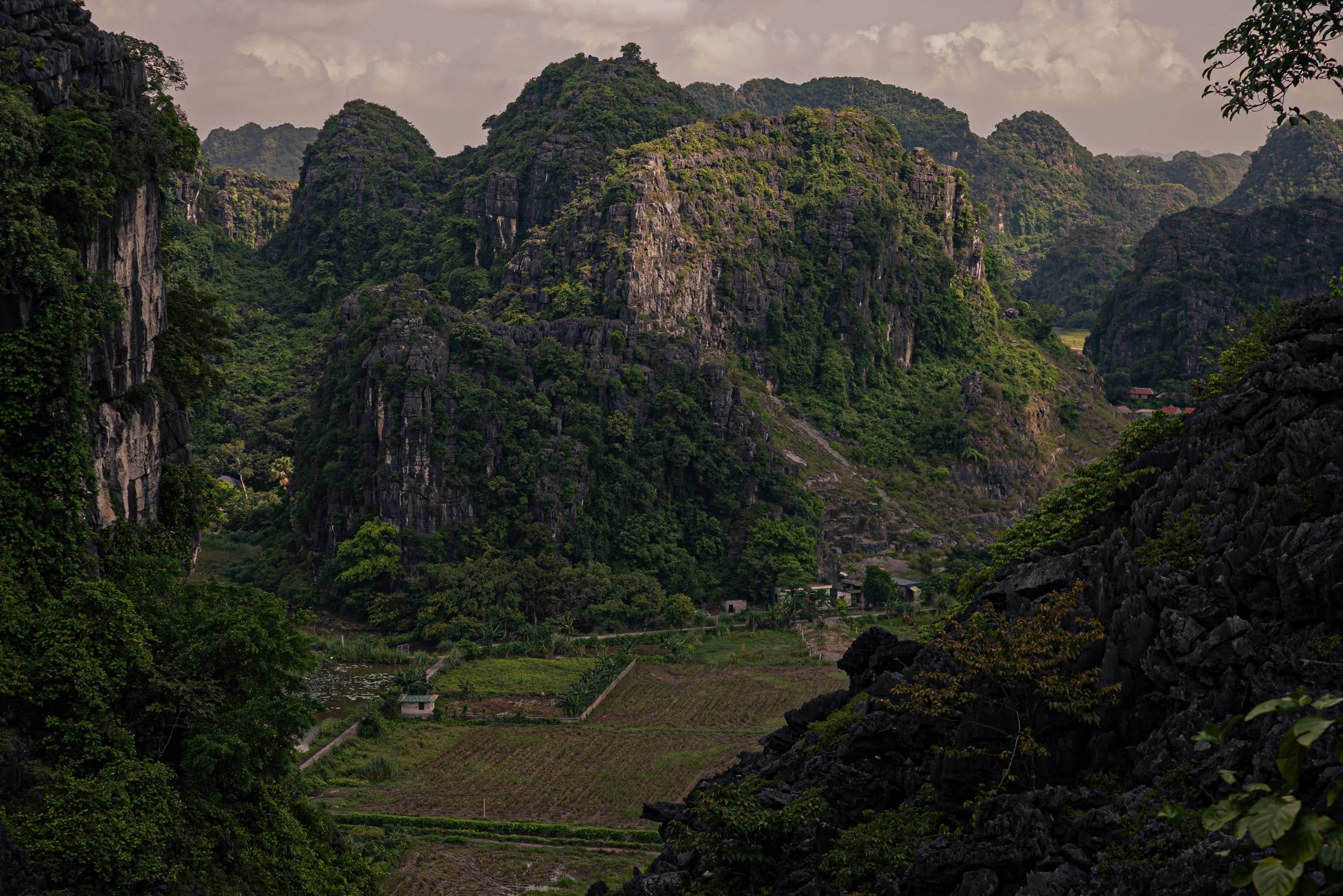 R0006401.jpg