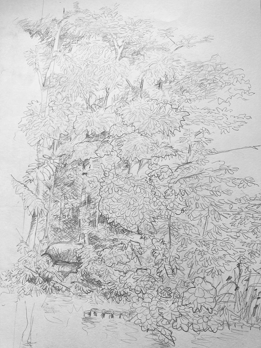Croquis au graphite - Fresque papier - Papier Rougier & plé Grand format