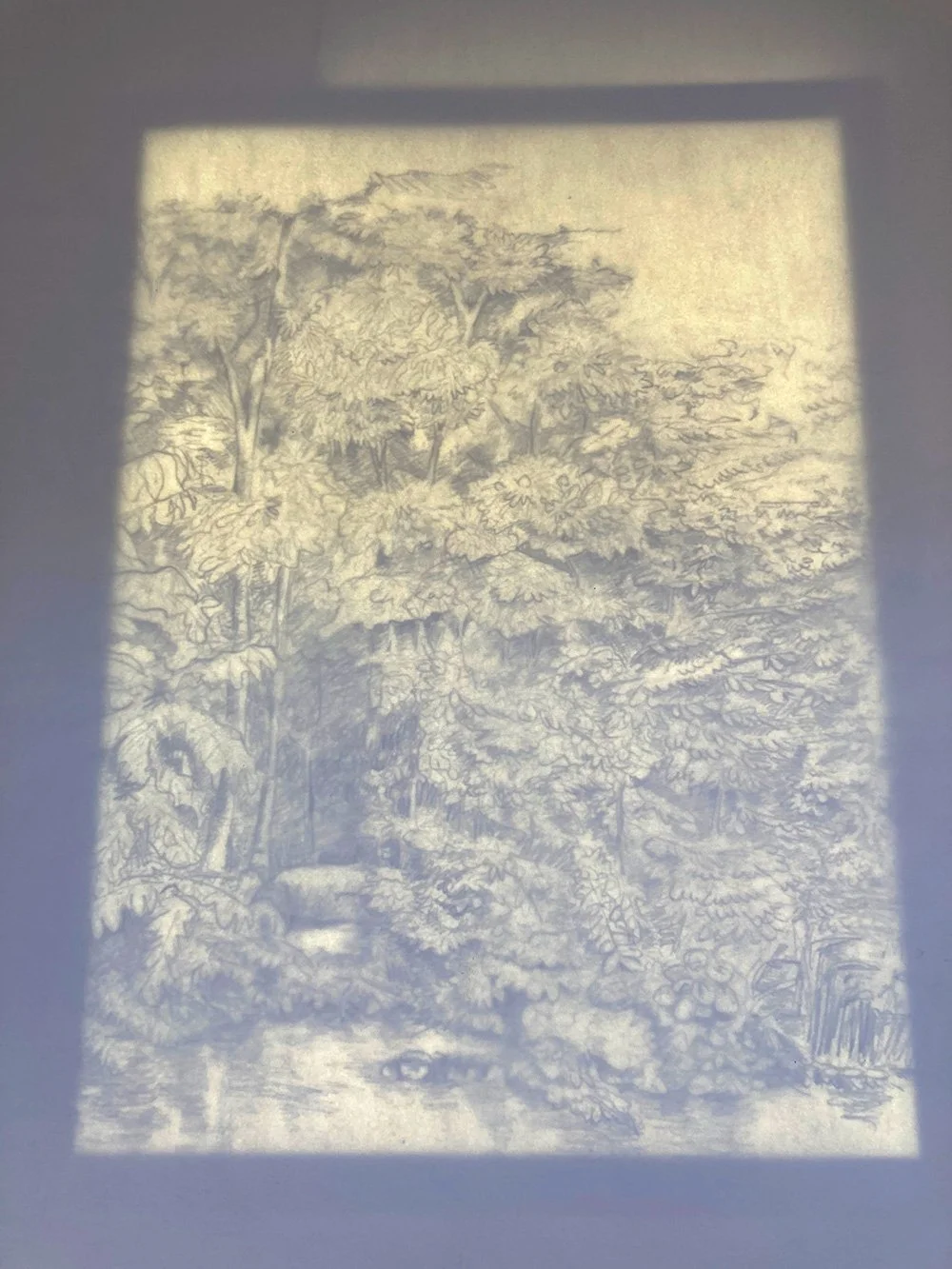 Table lumineuse - On retrace ainsi chaque partie au crayon de couleur sur une papier propre