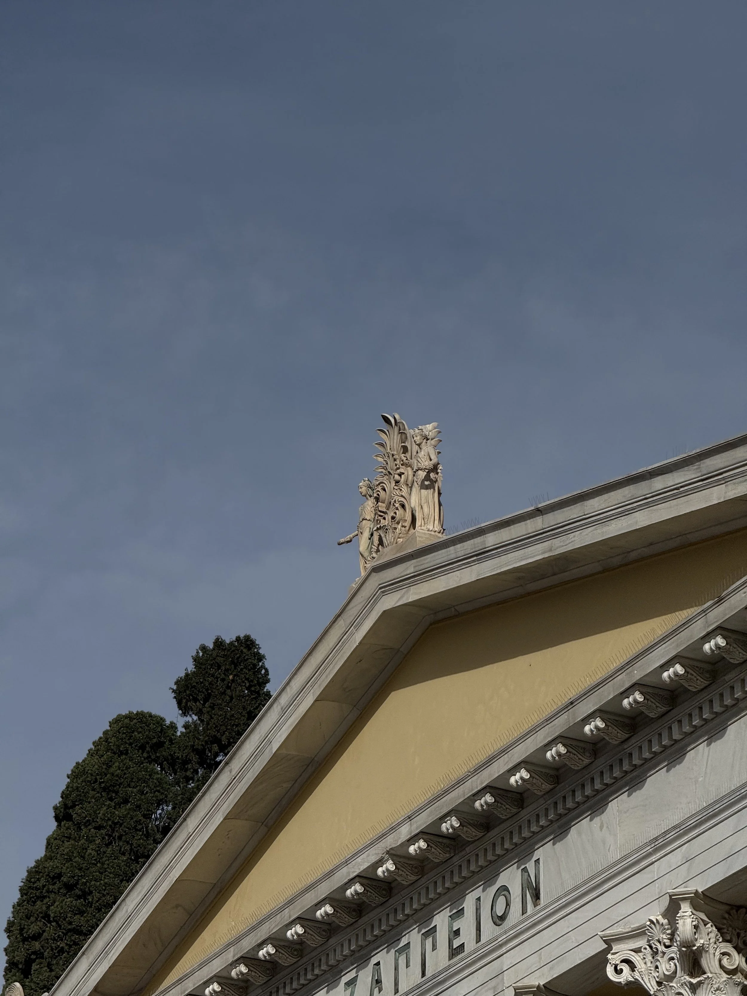 IMG_1003.jpeg