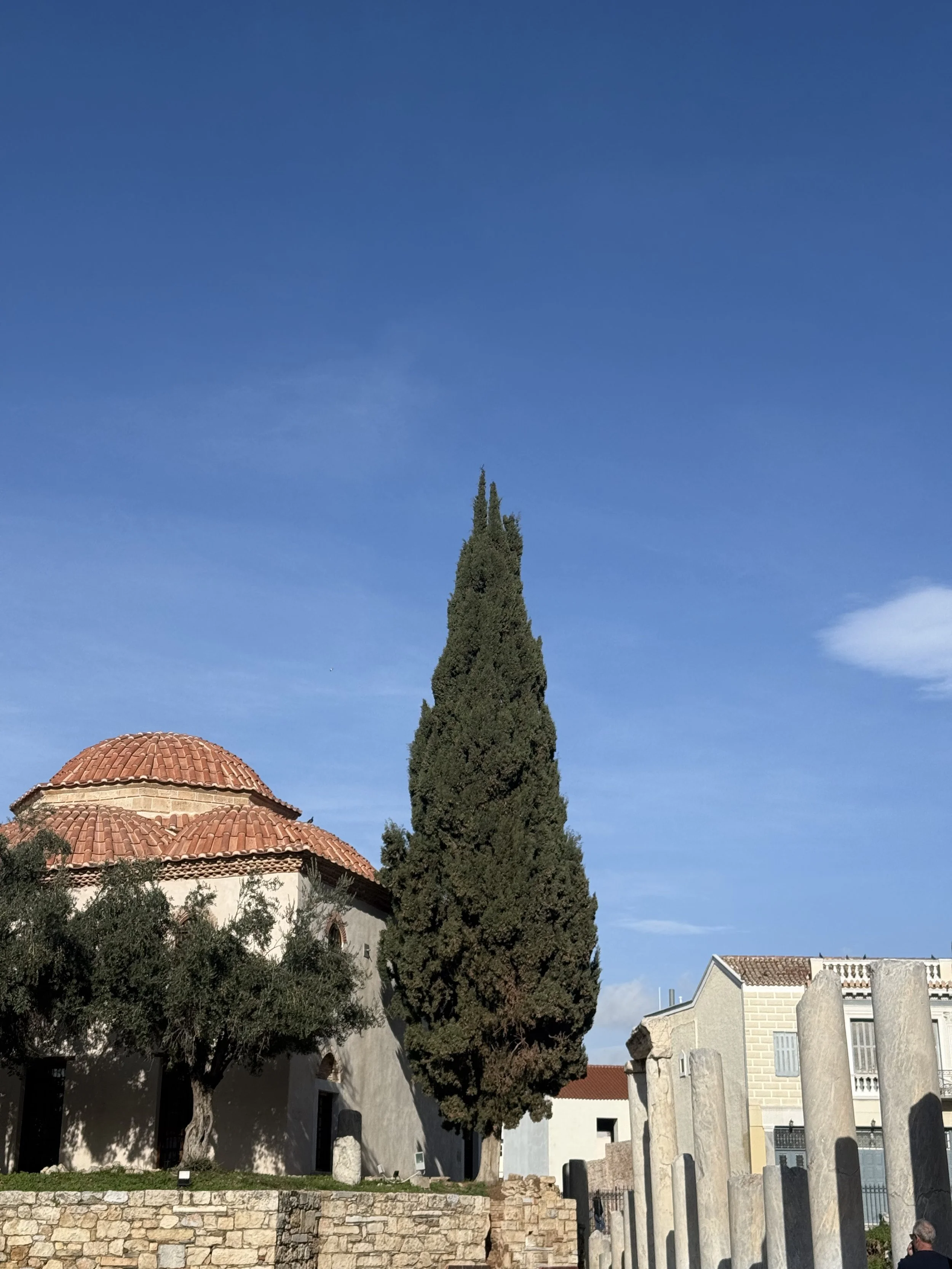 IMG_1042.jpeg