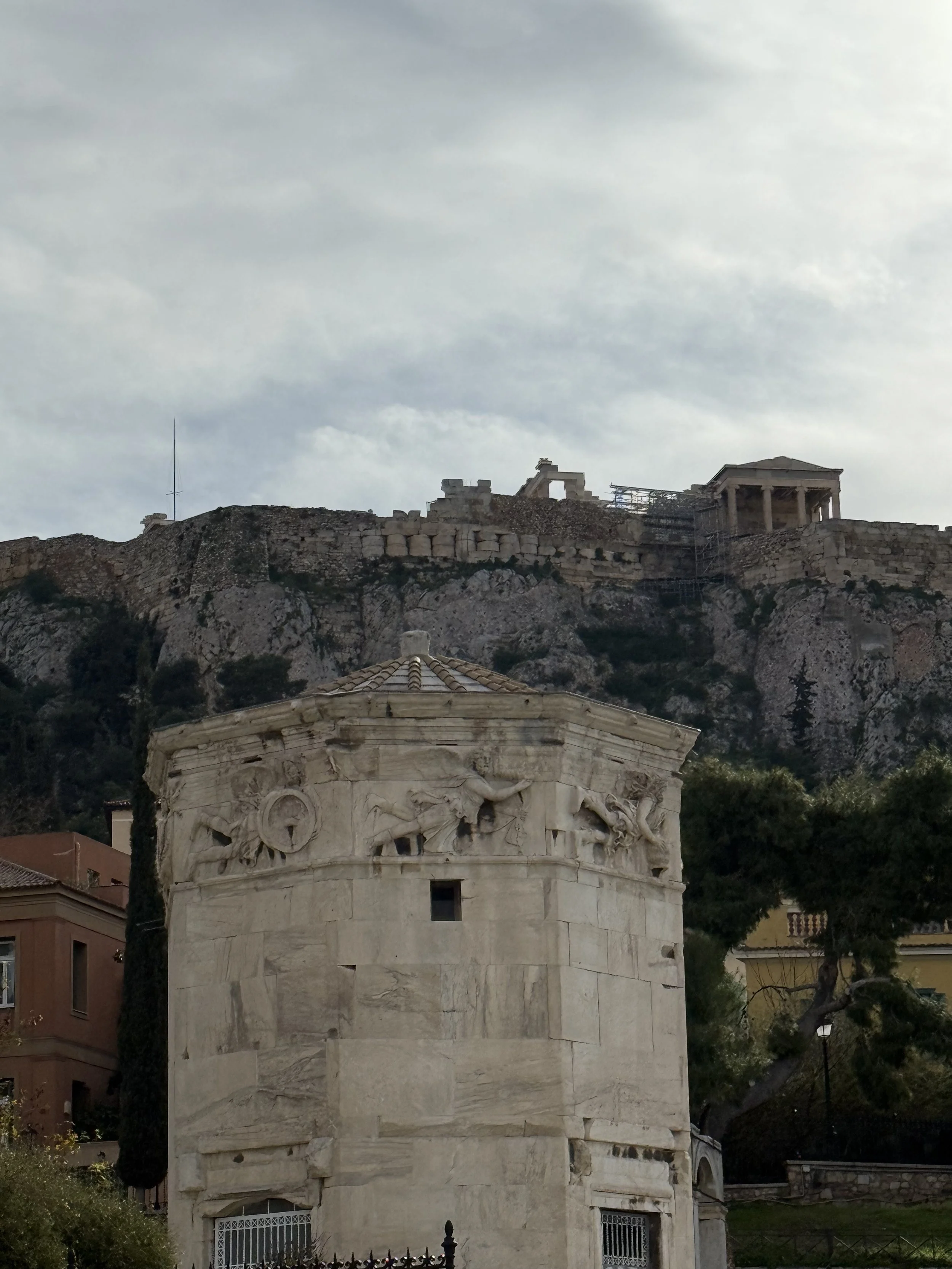 IMG_0990 2.jpeg