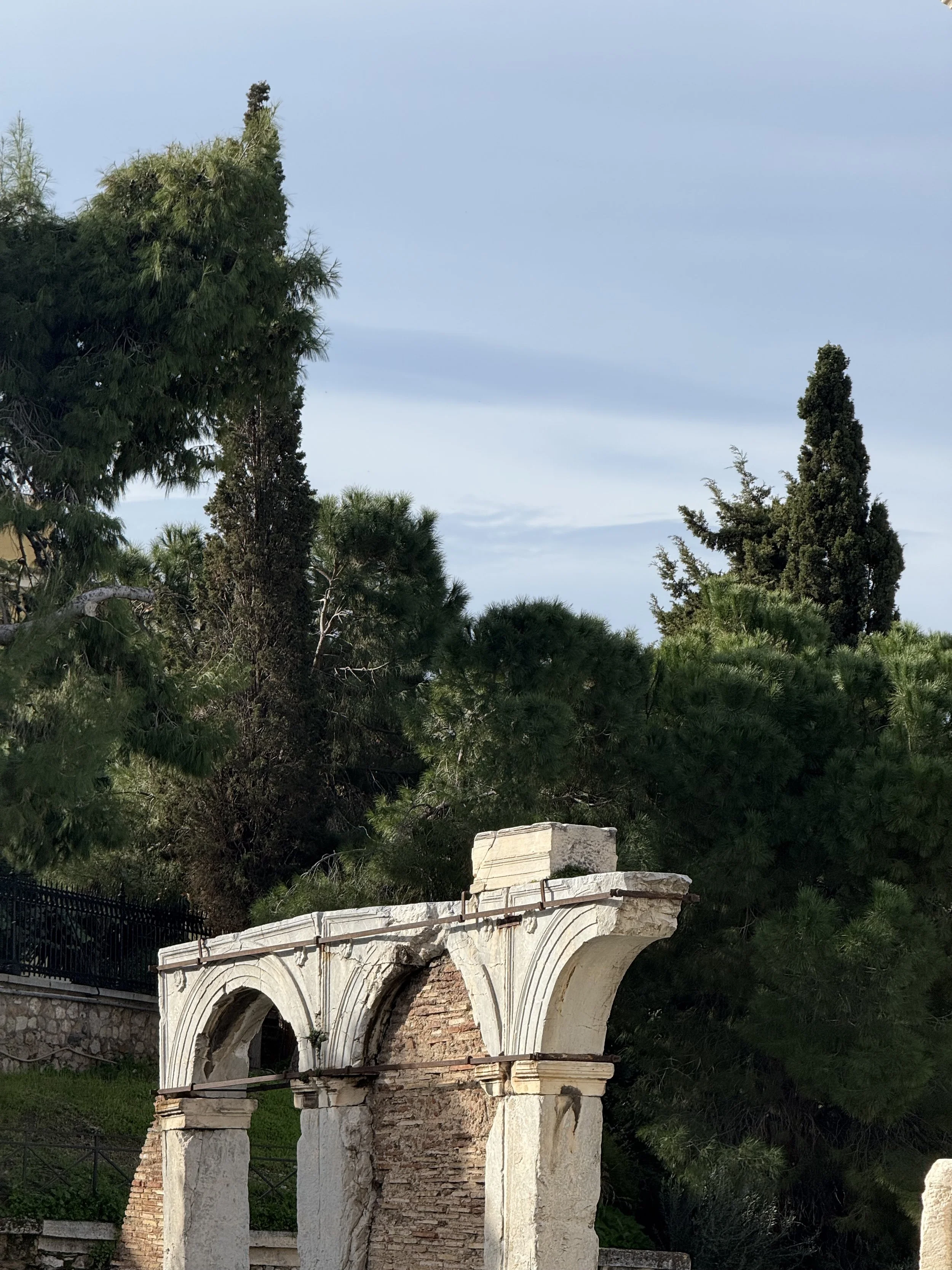 IMG_1011.jpeg