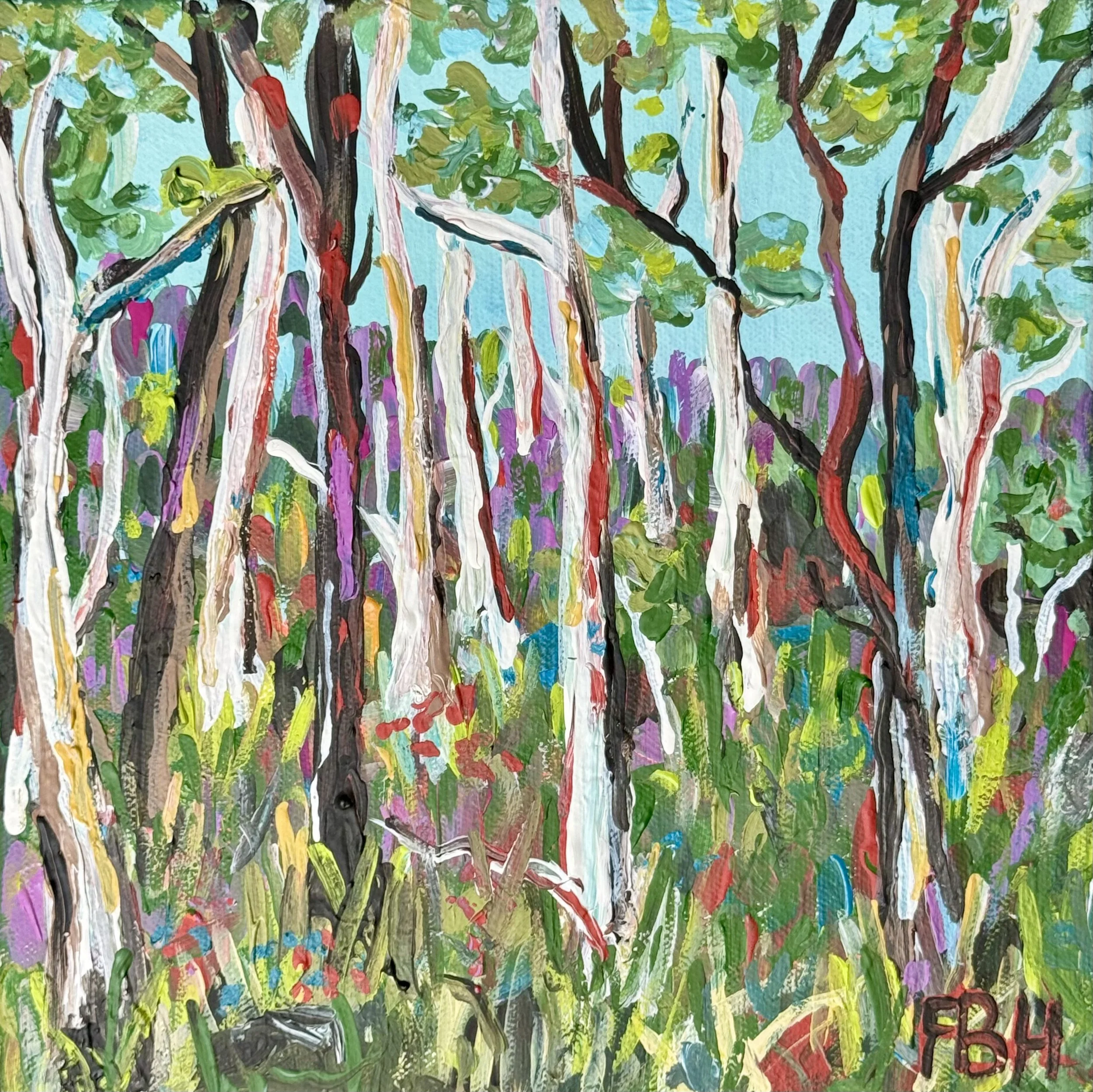 Mullum Manna Gums.jpg