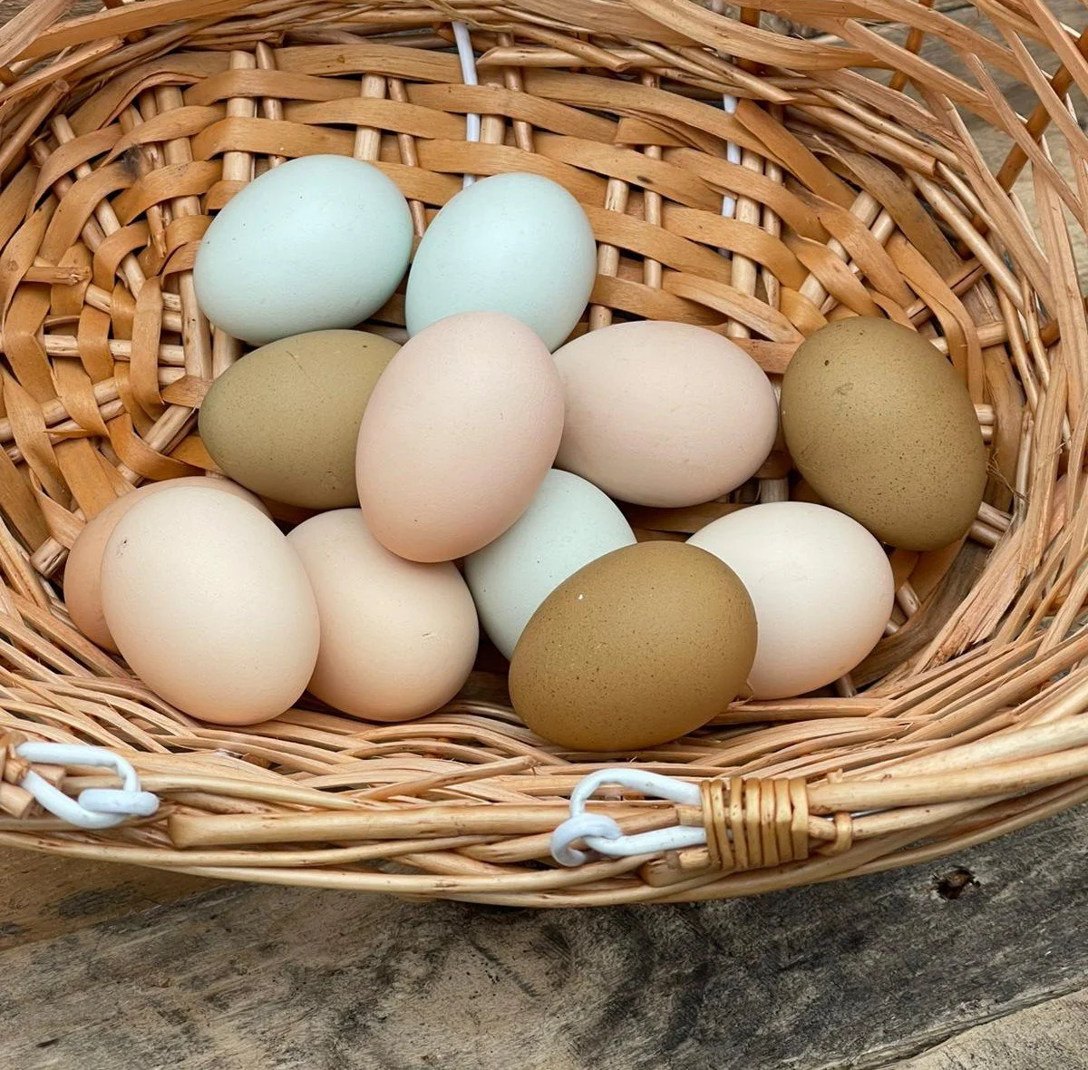 The Hen Box