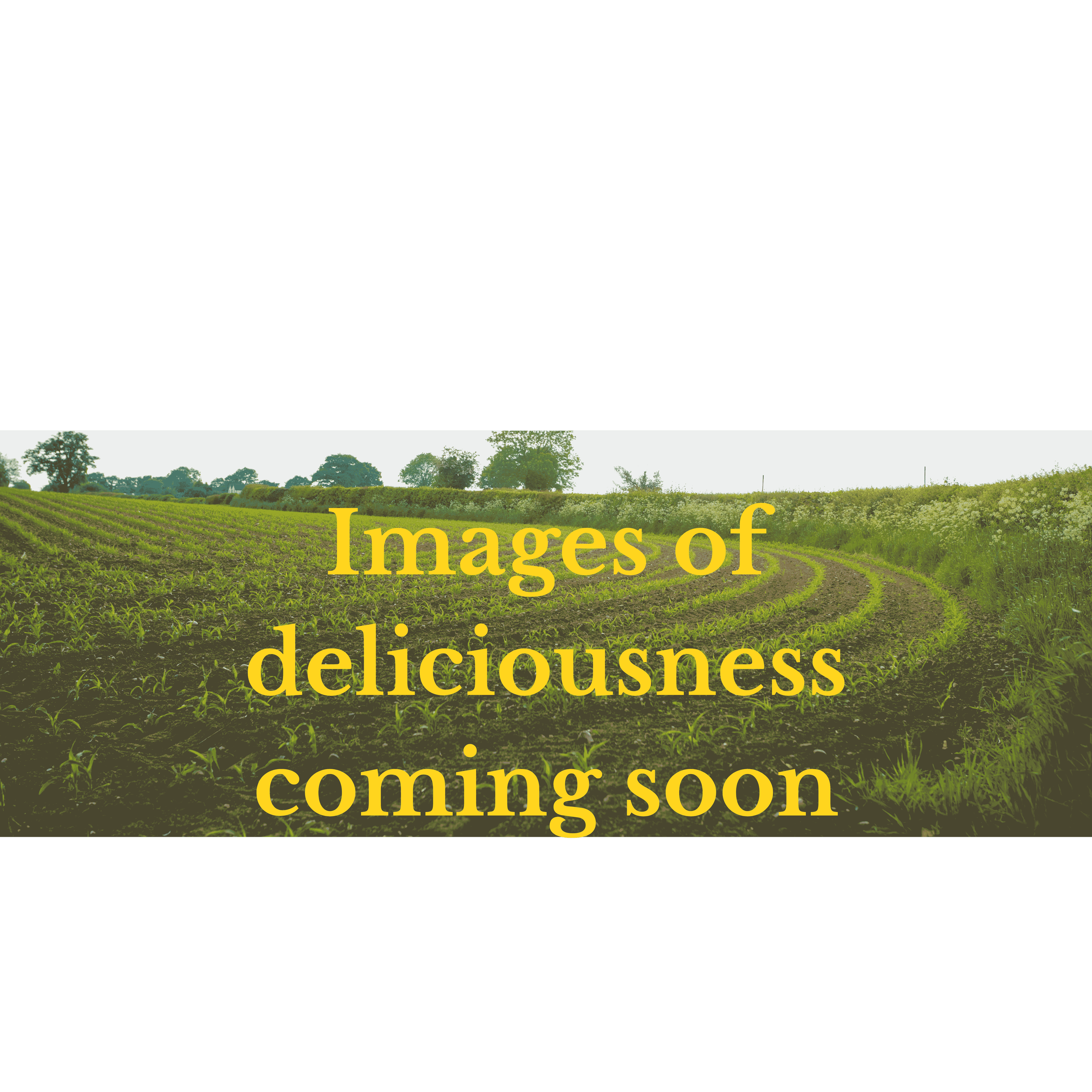 Coming soon image.png