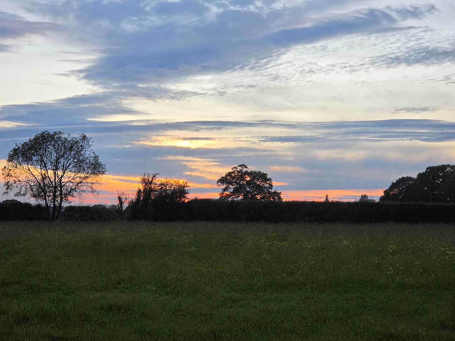 Sunset over the fields and hedgerows of Cross Bank Farm in Shropshire.