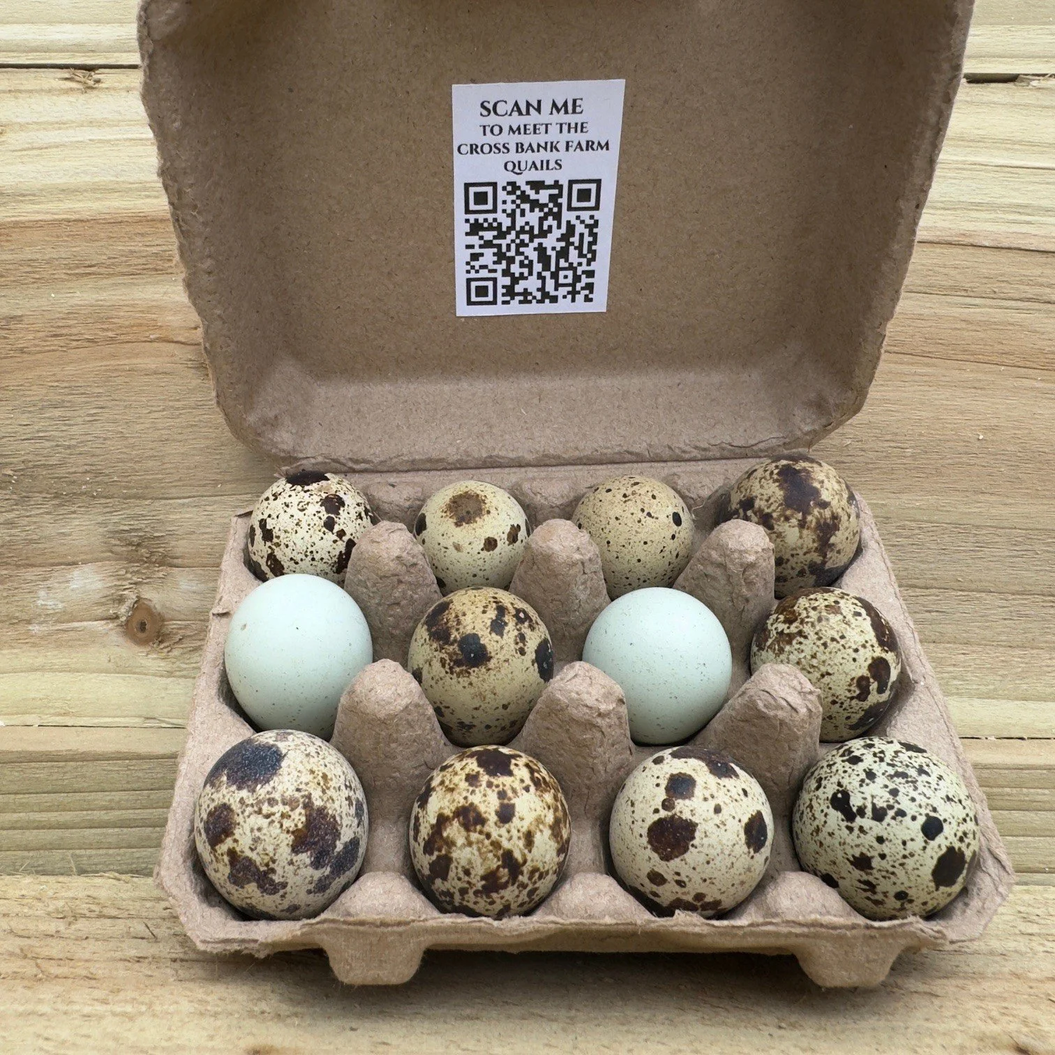 Quail egg box S2.jpg
