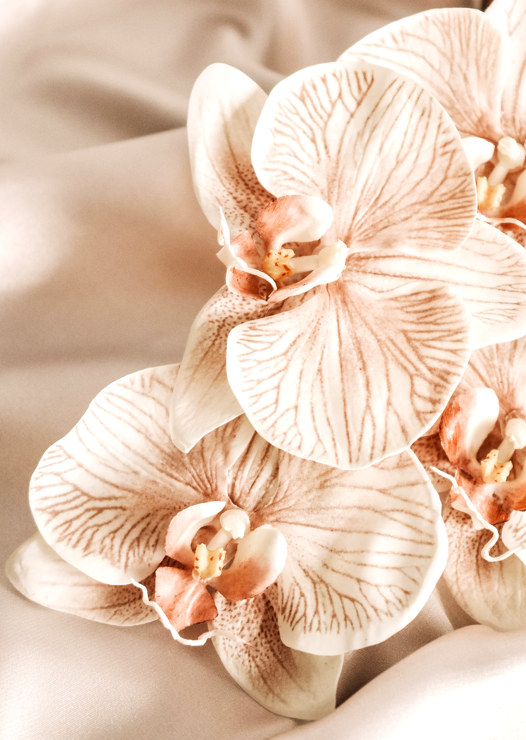 Des fleurs d'orchidée de couleur crème avec des veines brunes, regroupées en bouquet. Le fond est flou et neutre.