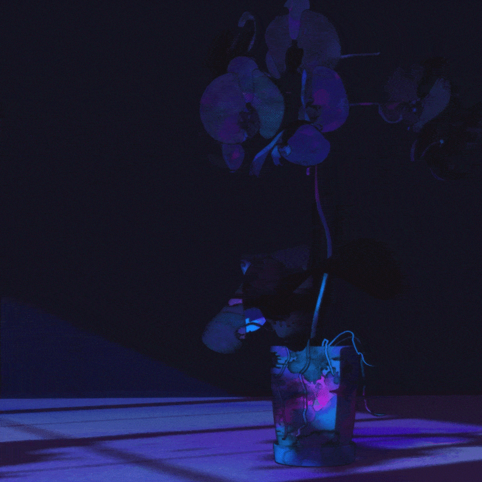 New Shot 01_Render Testv2_CCv2.gif