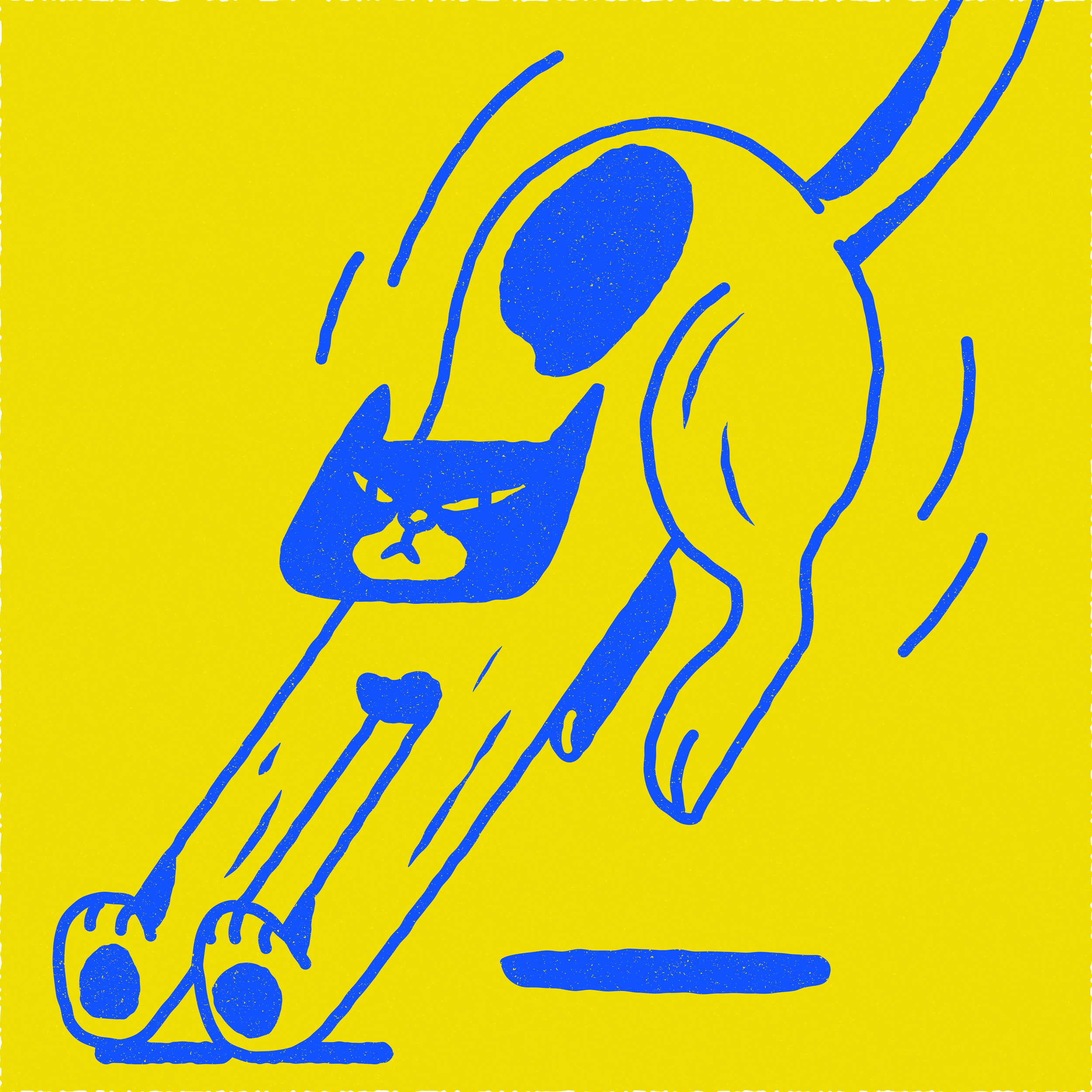 CAT-01-01.png