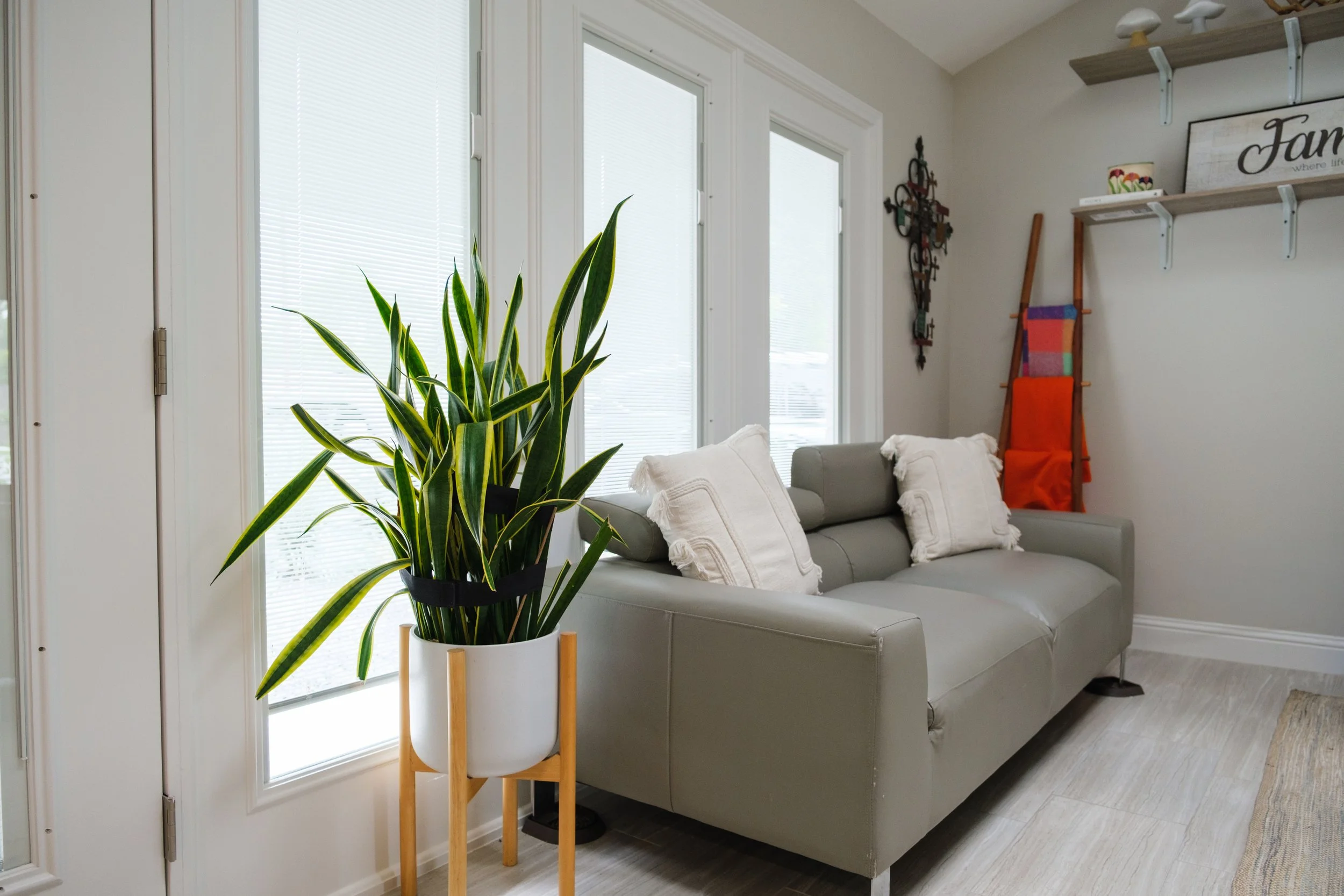 Living room with large potted green plant, gray sofa with white pillows, windows with blinds, wall decor including a colorful hanging piece and a framed sign reading 'Farm where life begins'.