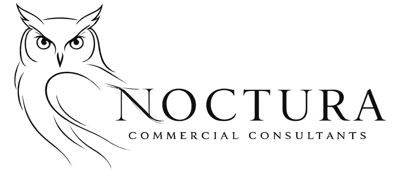 Logo for Noctura Commercial Consultants featuring an outlined owl with detailed wings and piercing eyes.