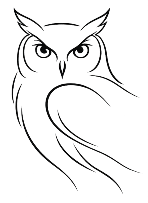 The Noctura Commercial Consultants Logo. A line drawing of an owl with large eyes and detailed feathers, with a flowing tail.