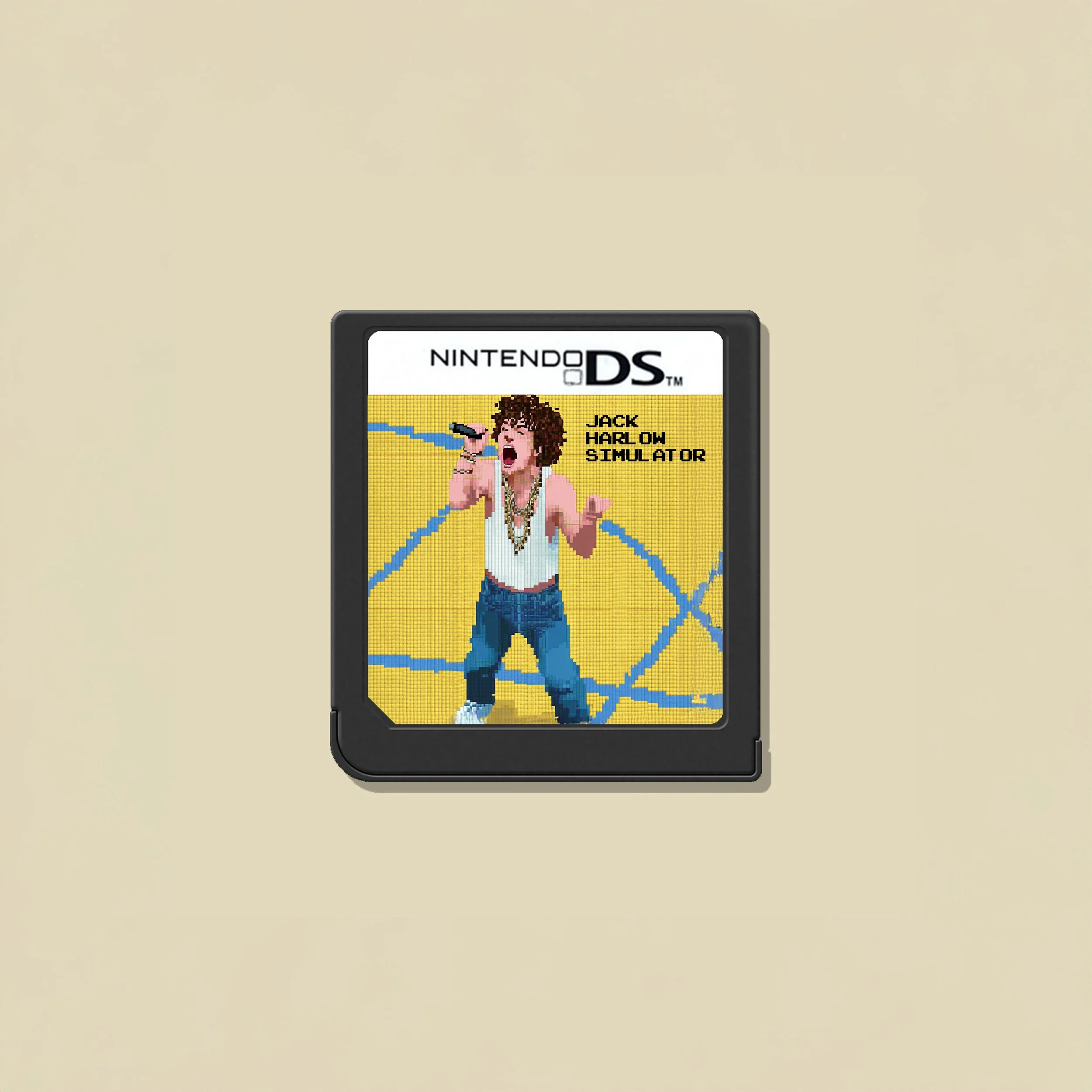 nintendoDSproductsArtboard 2gh.jpg