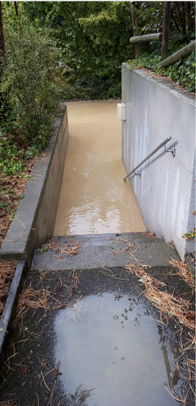 Screenshot 2026-03-28 at 17.16.10.png