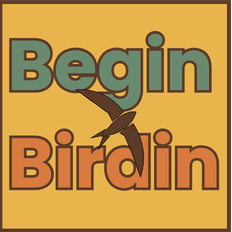Begin Birding