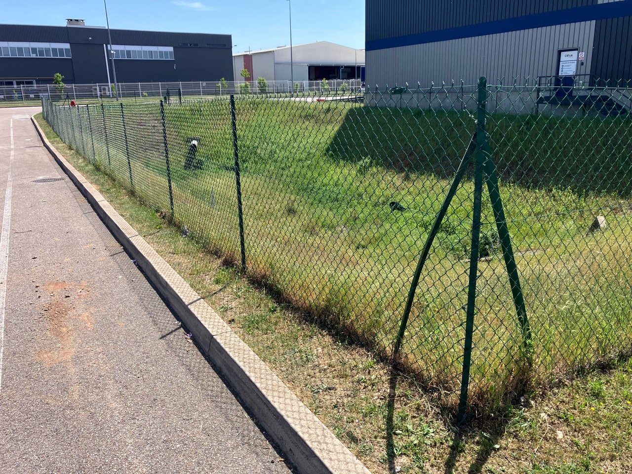 Remplacement grillage extérieur
