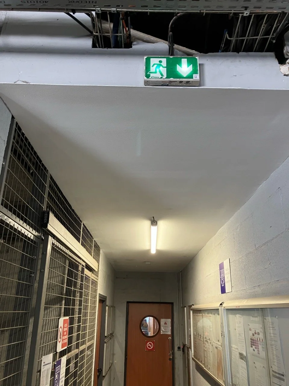 Remise en peinture plafond