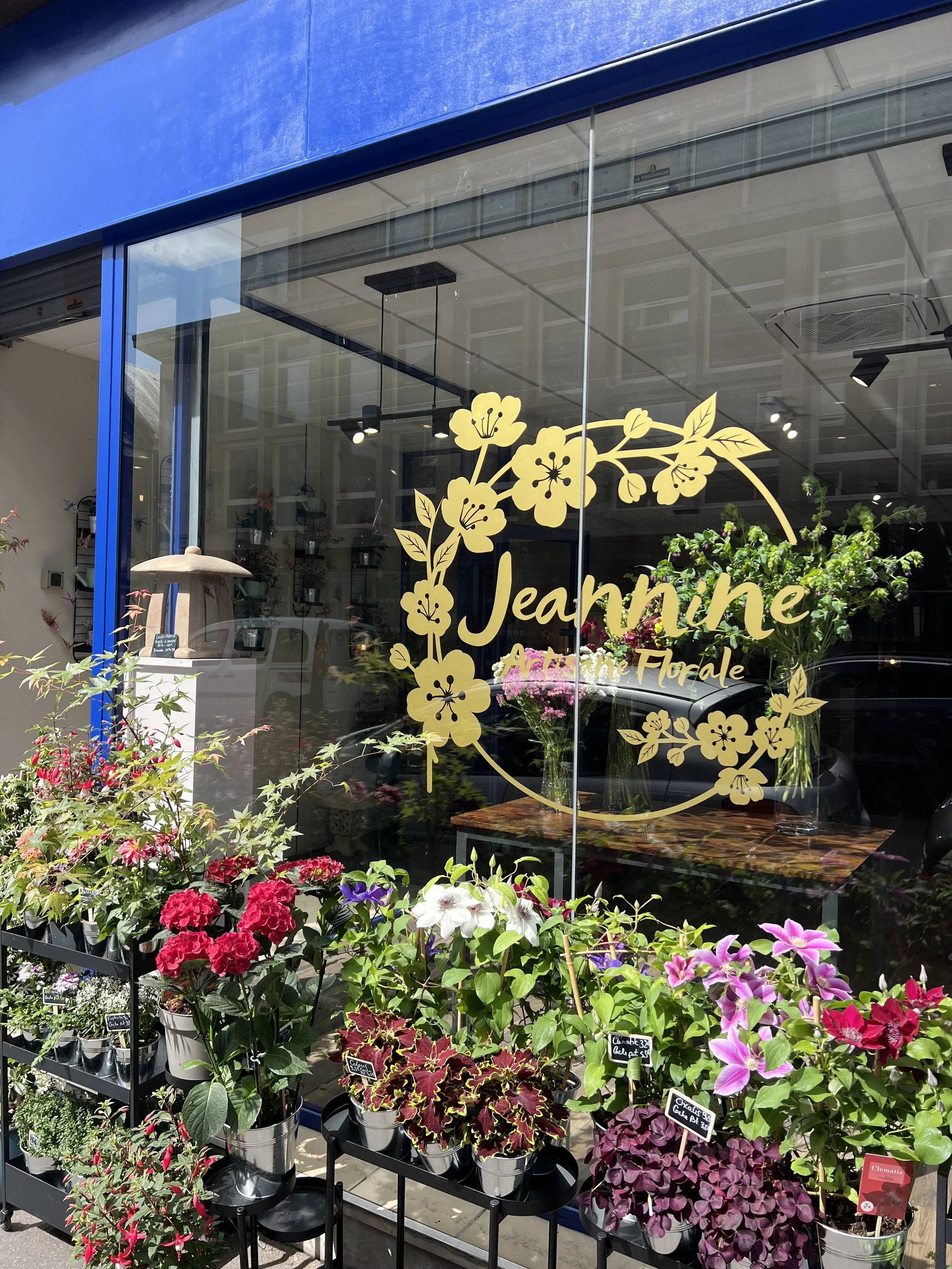 Vitrine de magasin de fleurs avec des plantes en pot colorées devant la fenêtre, la fenêtre a une décoration jaune avec des fleurs et le mot 'Jeanne'.