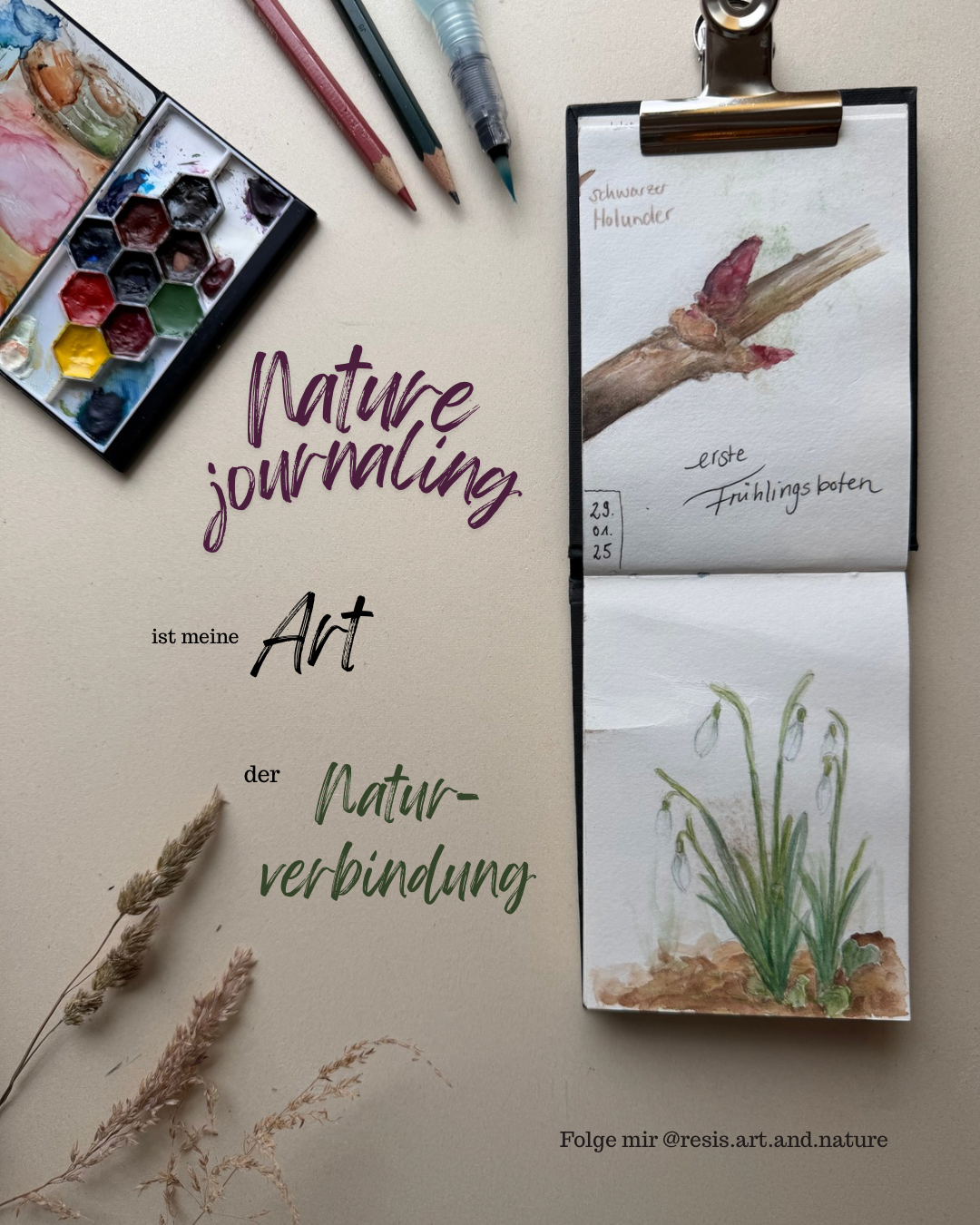 Nature Journaling