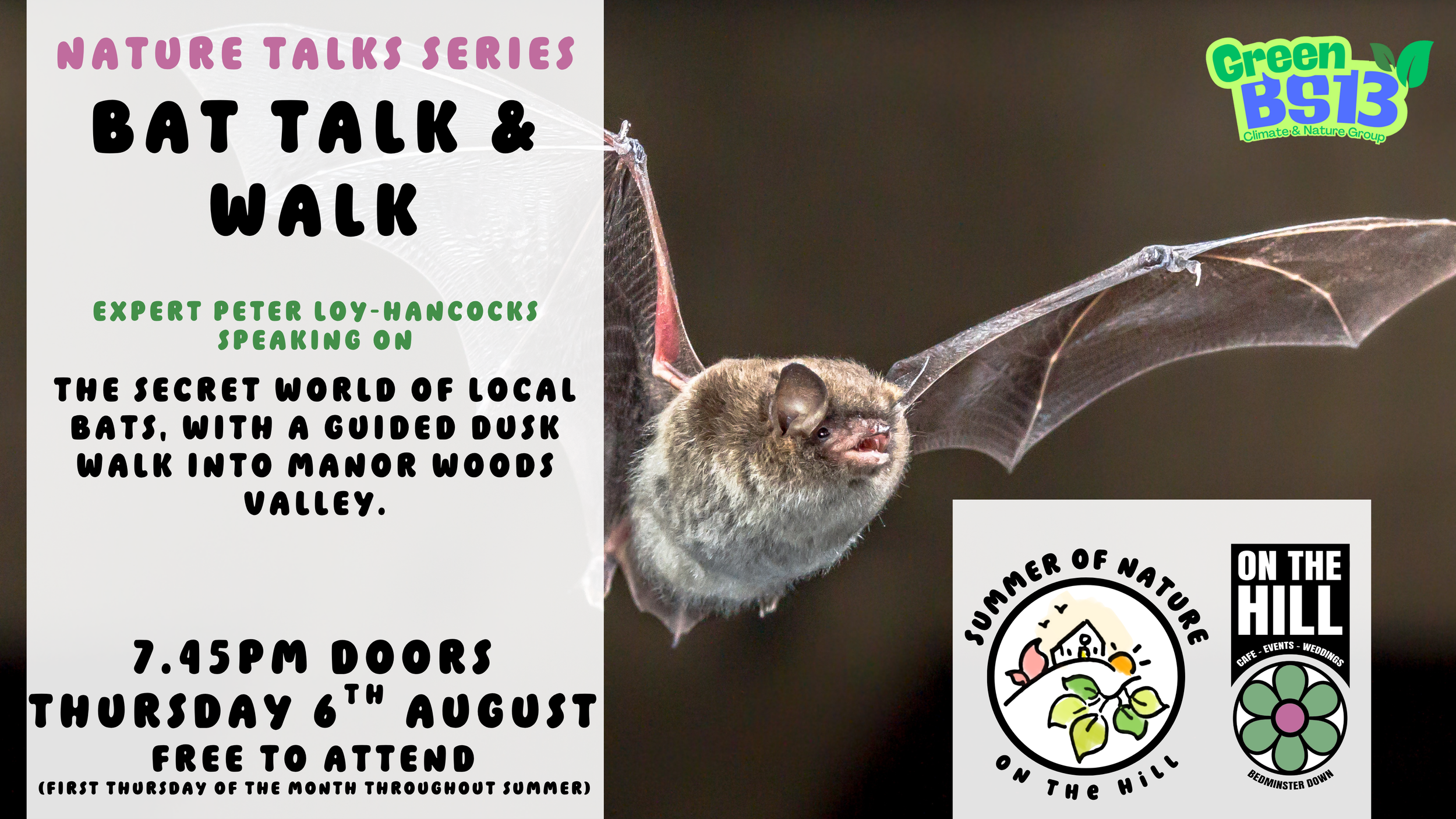 Nature Talk: Bat Talk & Walk