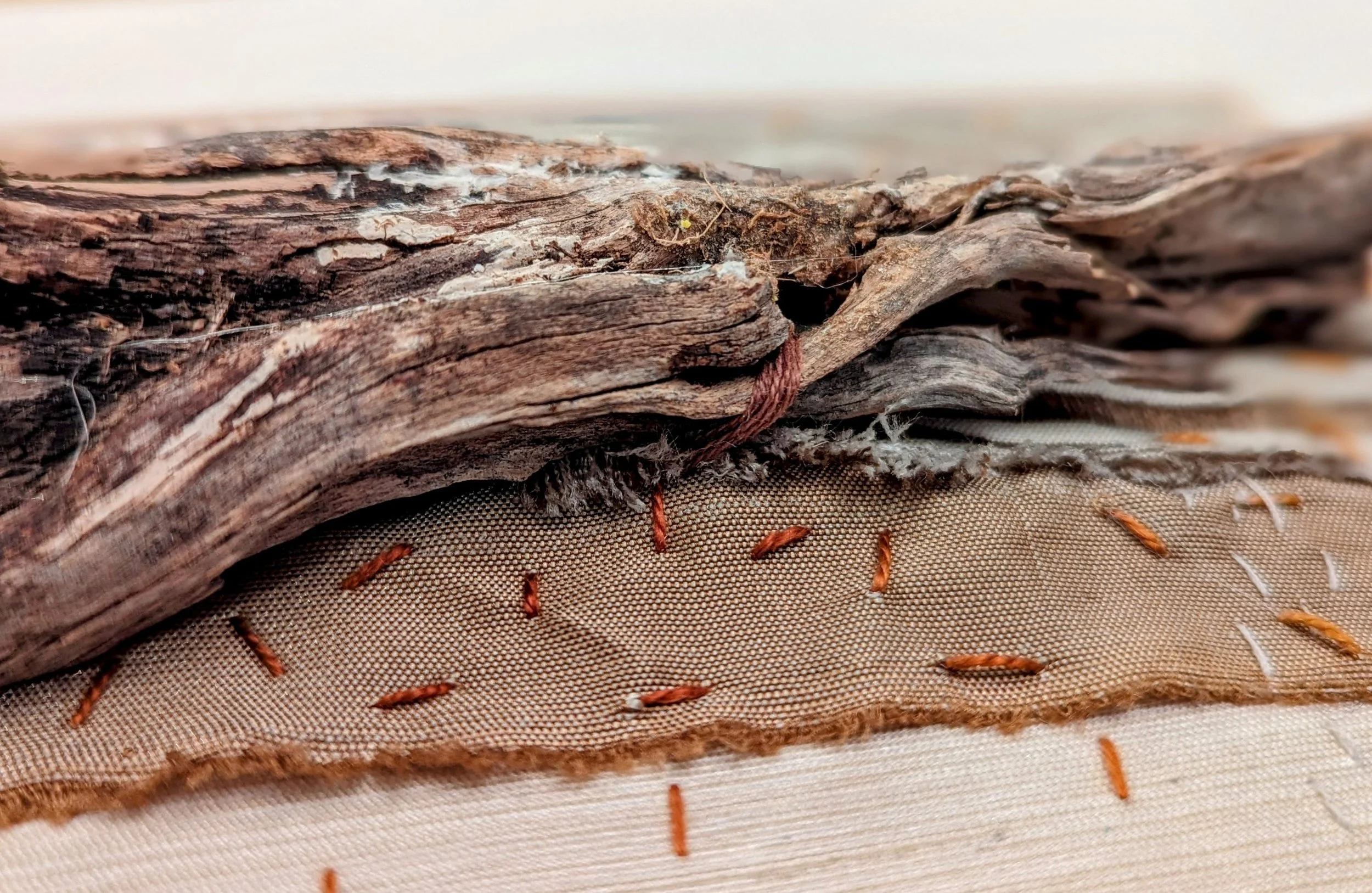 PXL_20240508_200514641.PORTRAIT%7E4.jpg