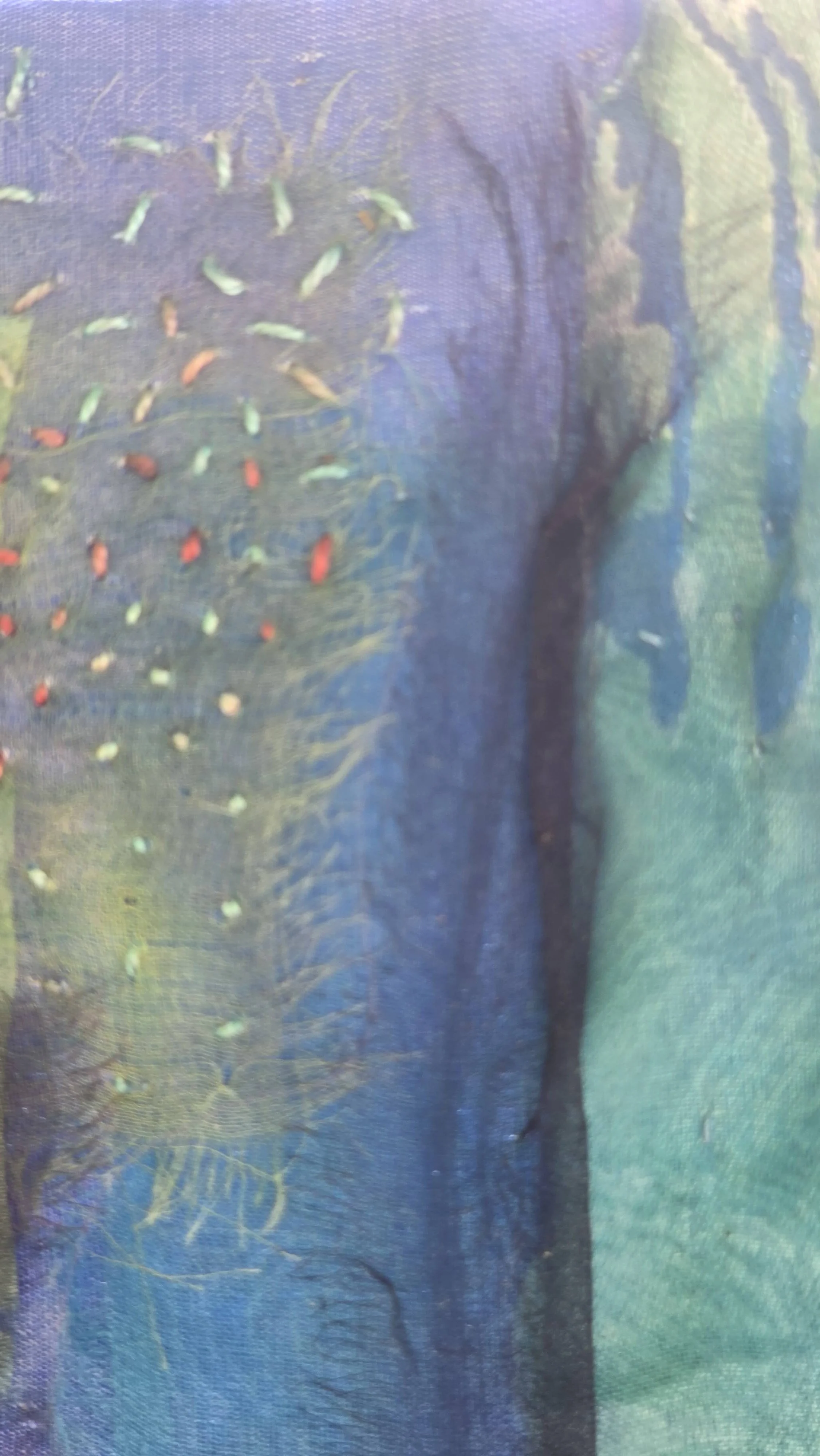 Detail Is It Blue Rip