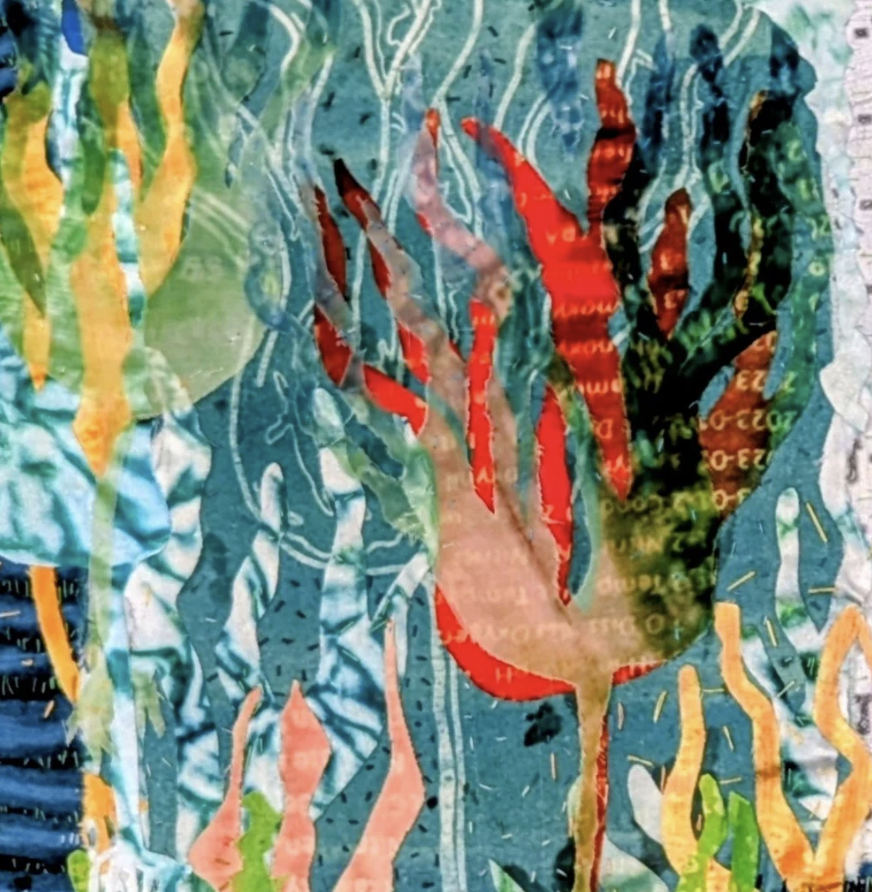 See - Kelp Matters