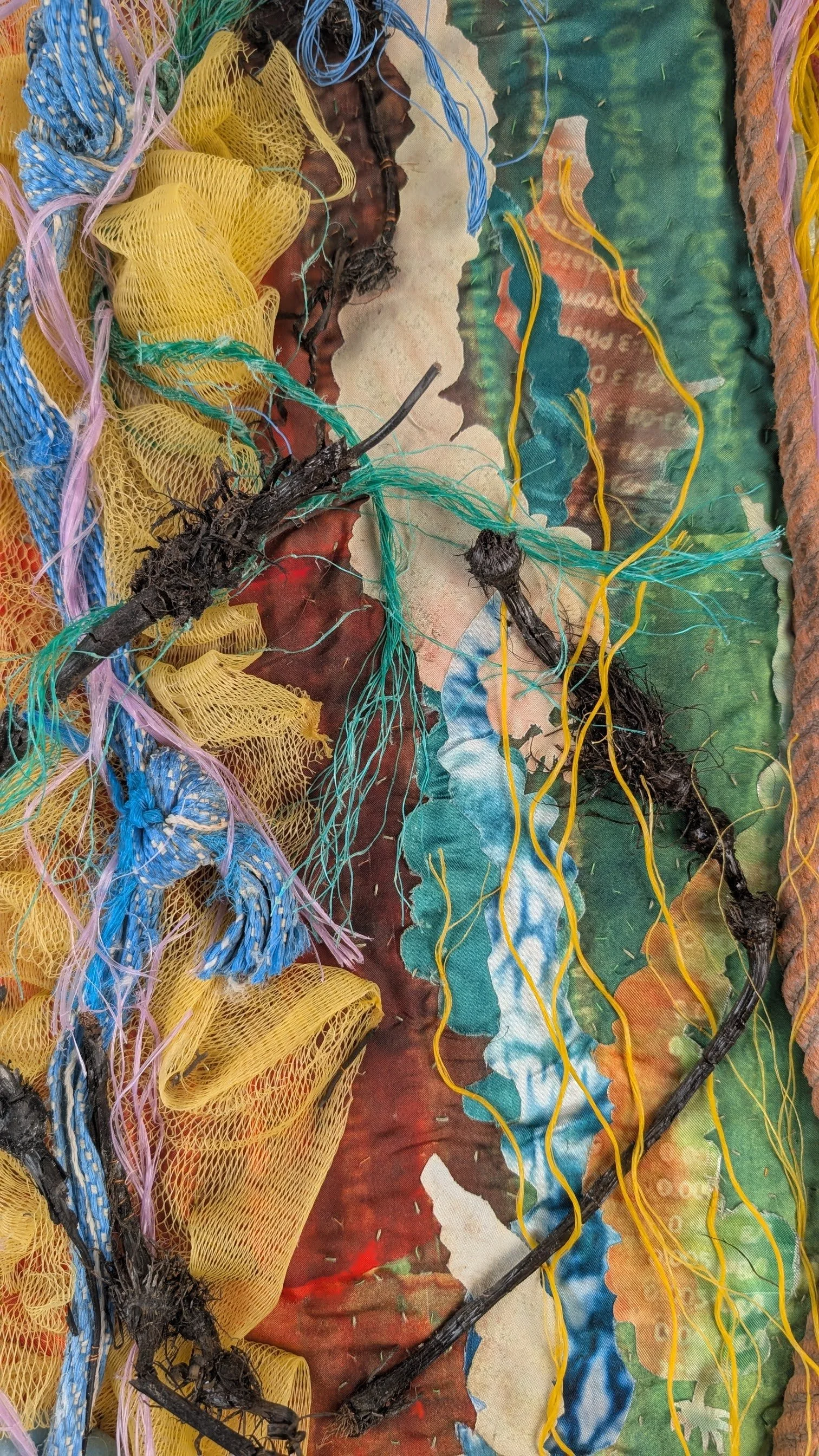 Detail of Latissima Sunset