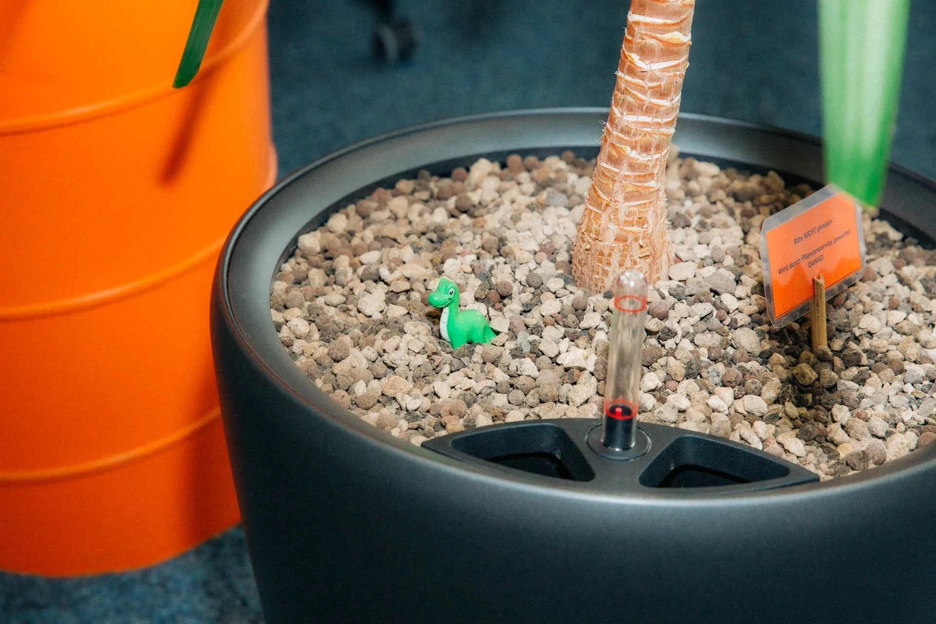 Ein Blumentopf mit Kieselsteinen, einer orangefarbenen Pflanze, einem grünen Gummidrachen und einem Messegerät.