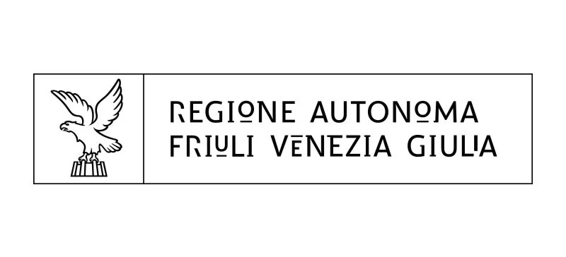 partner_web__fvg.jpg