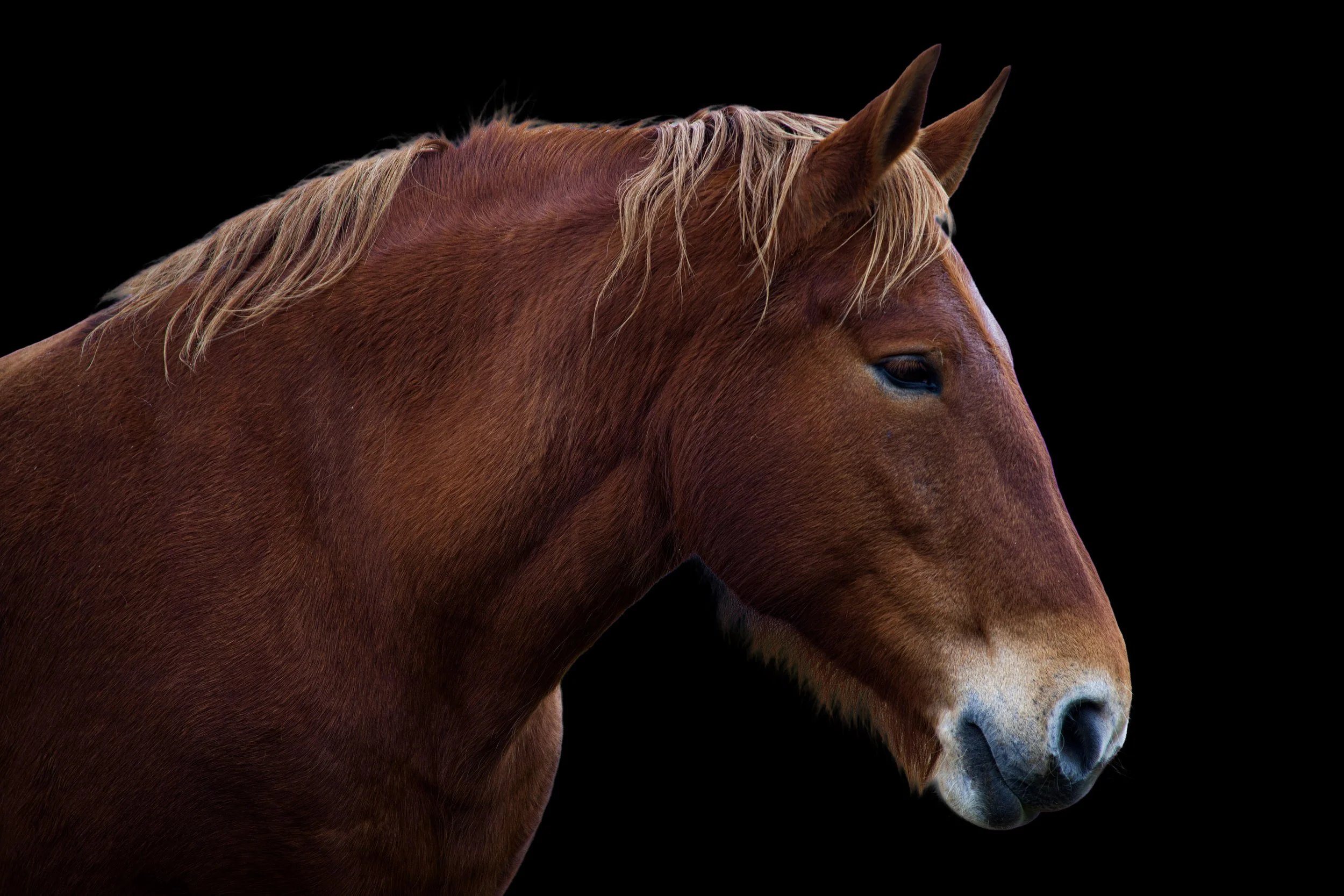 unnamed-36.jpg