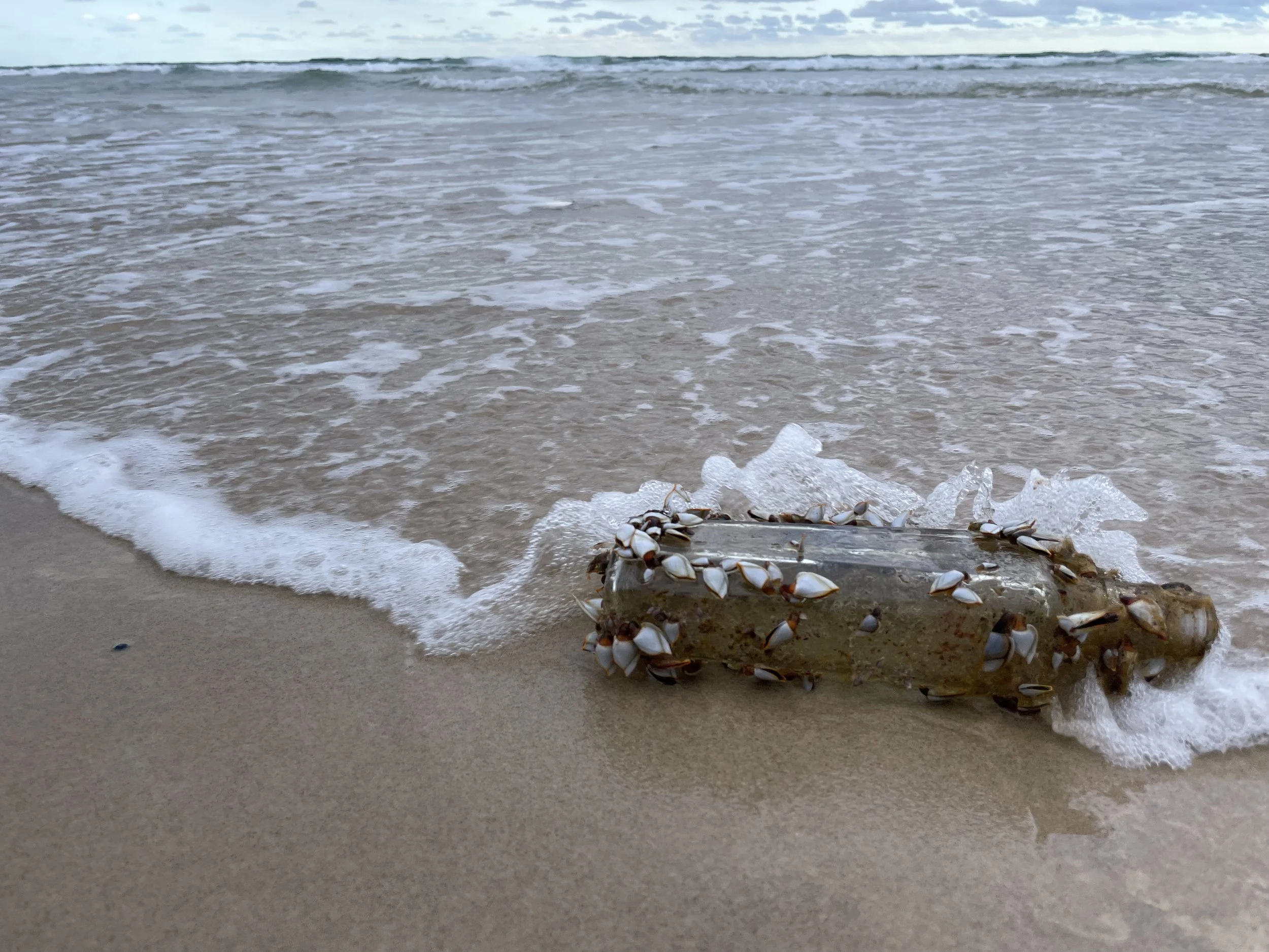 From the ocean .jpg