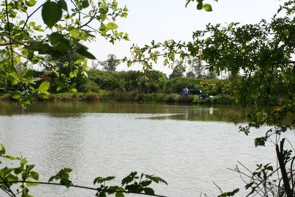 Fishing lake with greenery