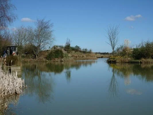 Fishing lake with landscaping