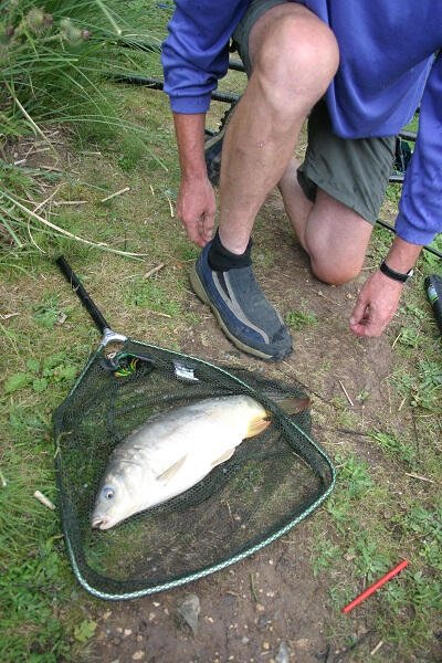 Fish caught at pond