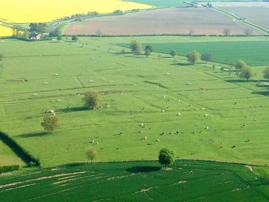 Parkland with deserted medieval village