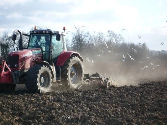 Tractor cultivating field