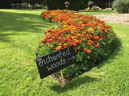 Wedding sign and flowers