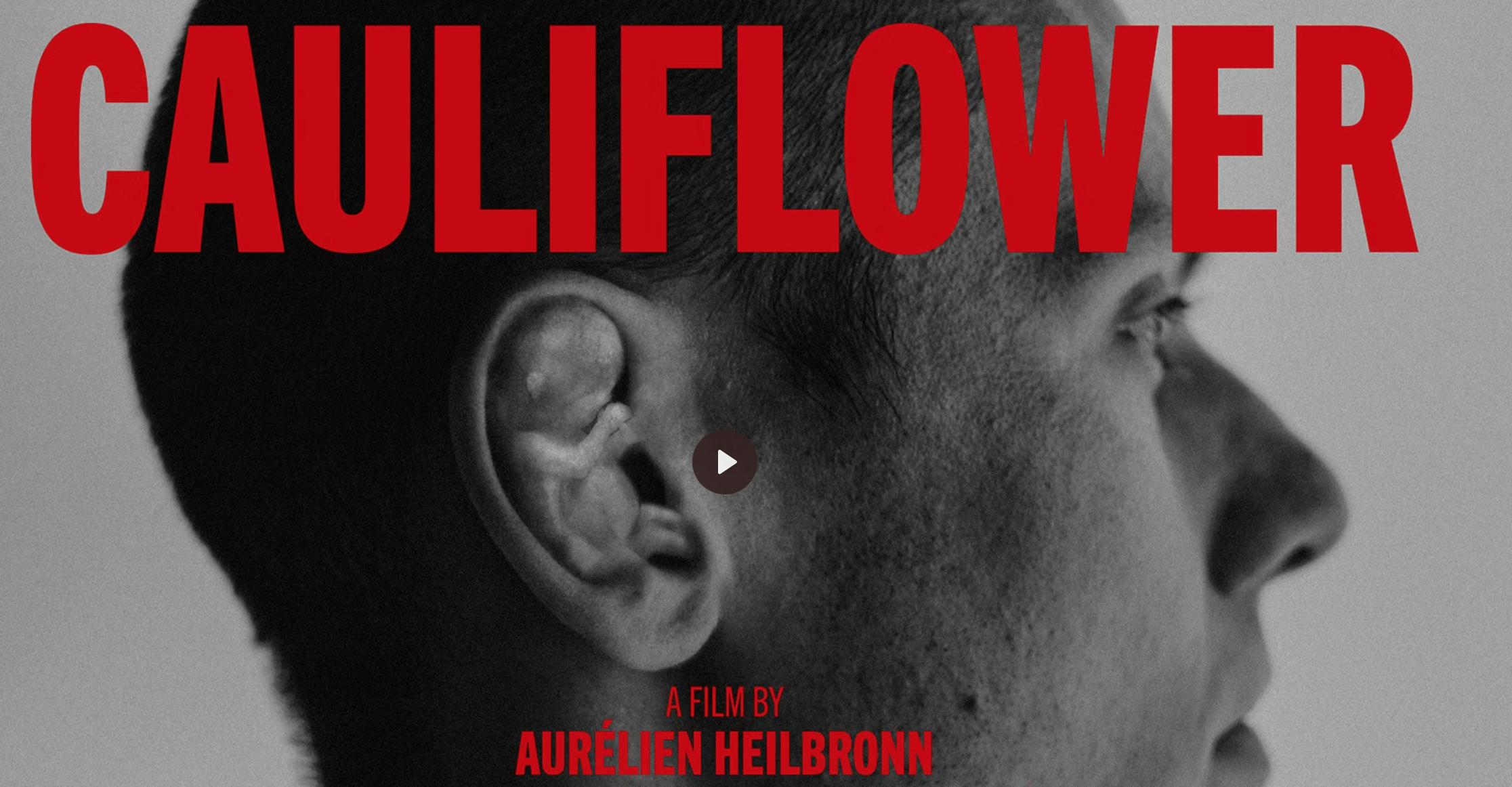 Short Film - Cauliflower - Réal: Aurélien Heilbronn - Prod: Ever Paris 
