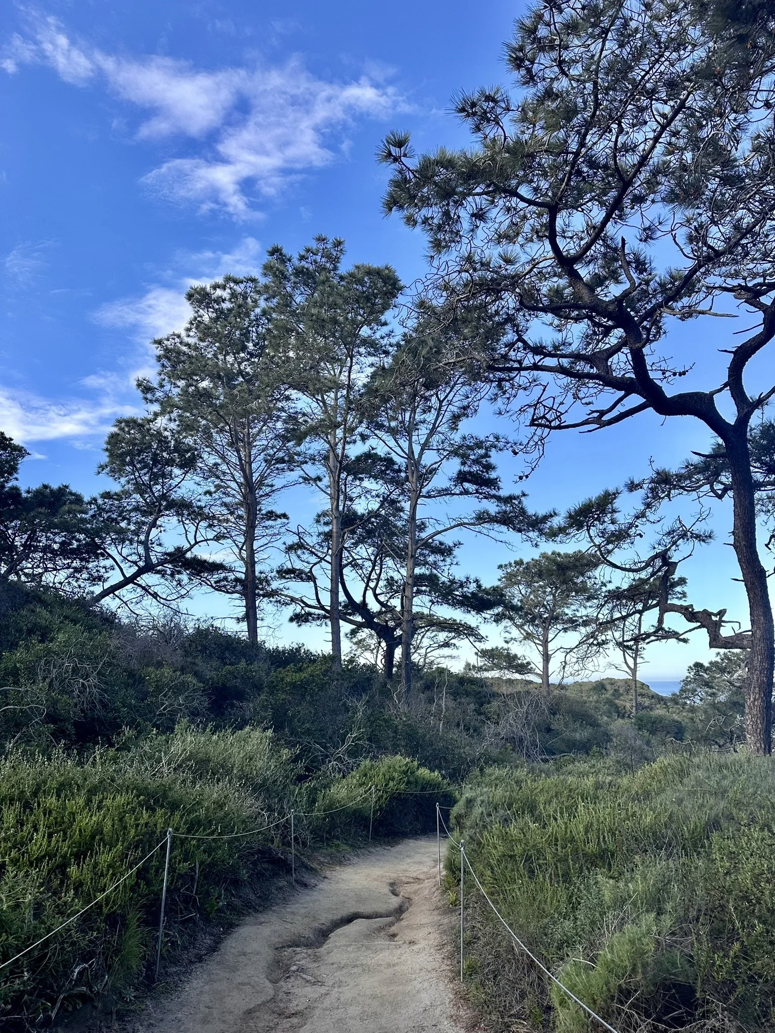 Now What?