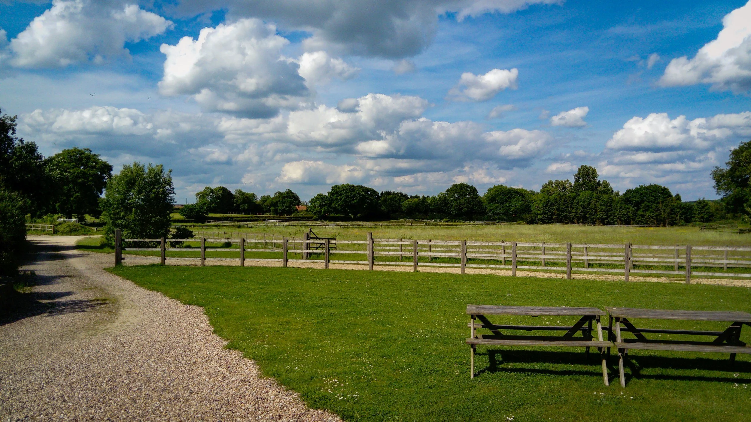 A rural landscape with a gravel path, green grass, wooden fences, trees, and a cloudy blue sky.