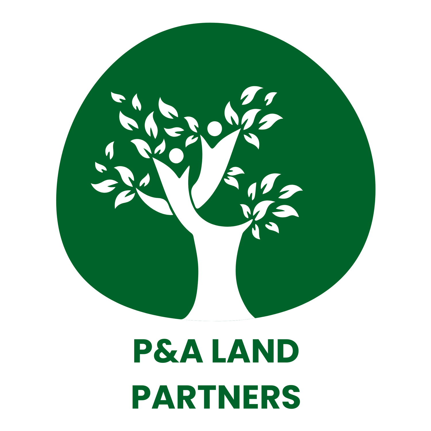 P&amp;A Land Partner