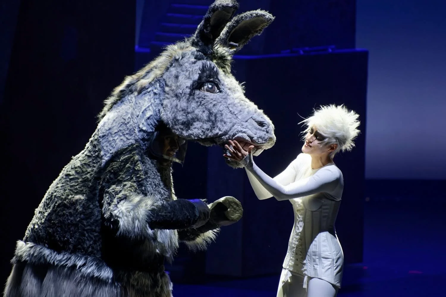 Conall O'Neill, Bass. A Midsummer Night's Dream, Lithuanian National Opera. A woman with white spiky hair and white costume gently touching the face of a person in a large donkey costume.