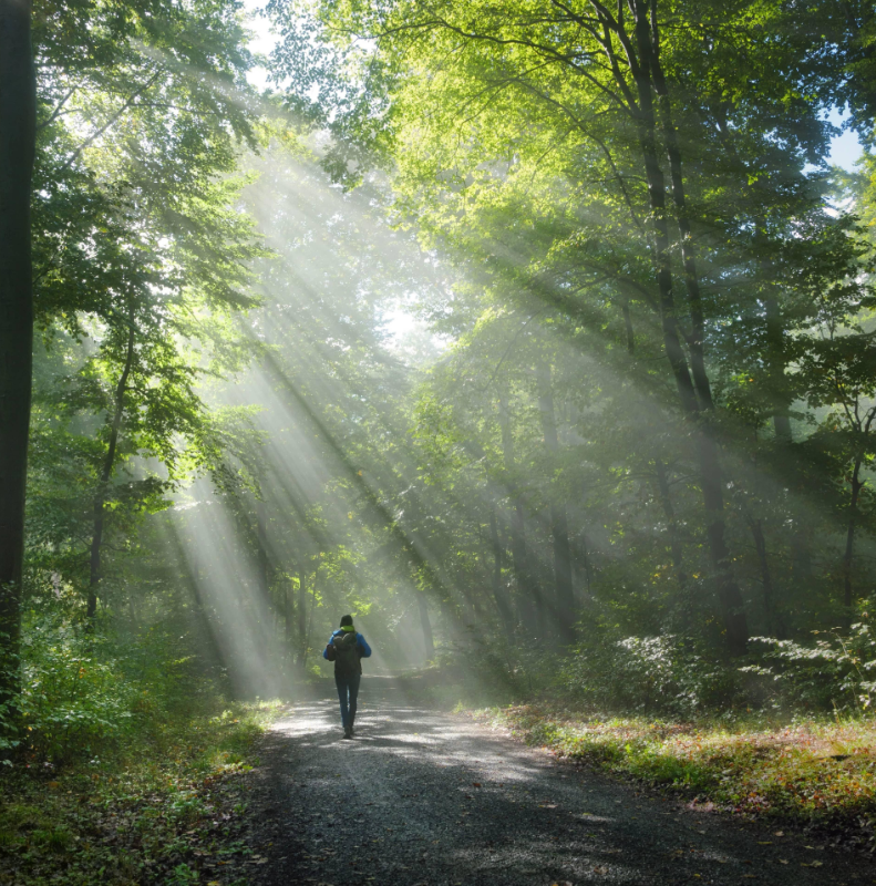 What is Acceptance and Commitment Therapy?