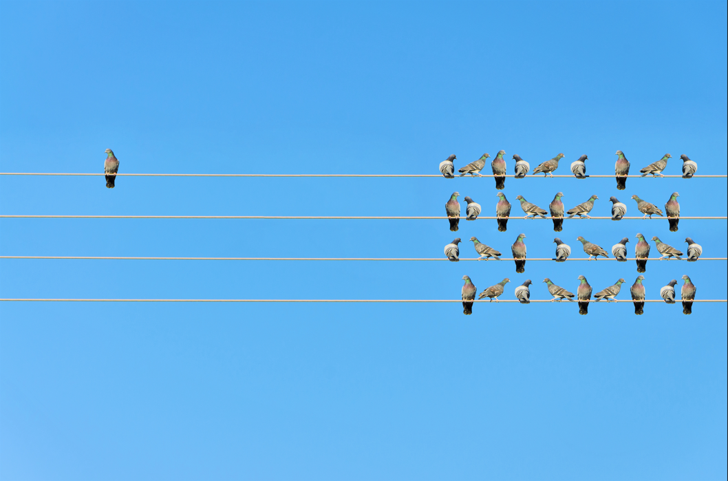 Why Does Isolation Make Us Angry? The Link Between Loneliness, Aggression, and the Brain