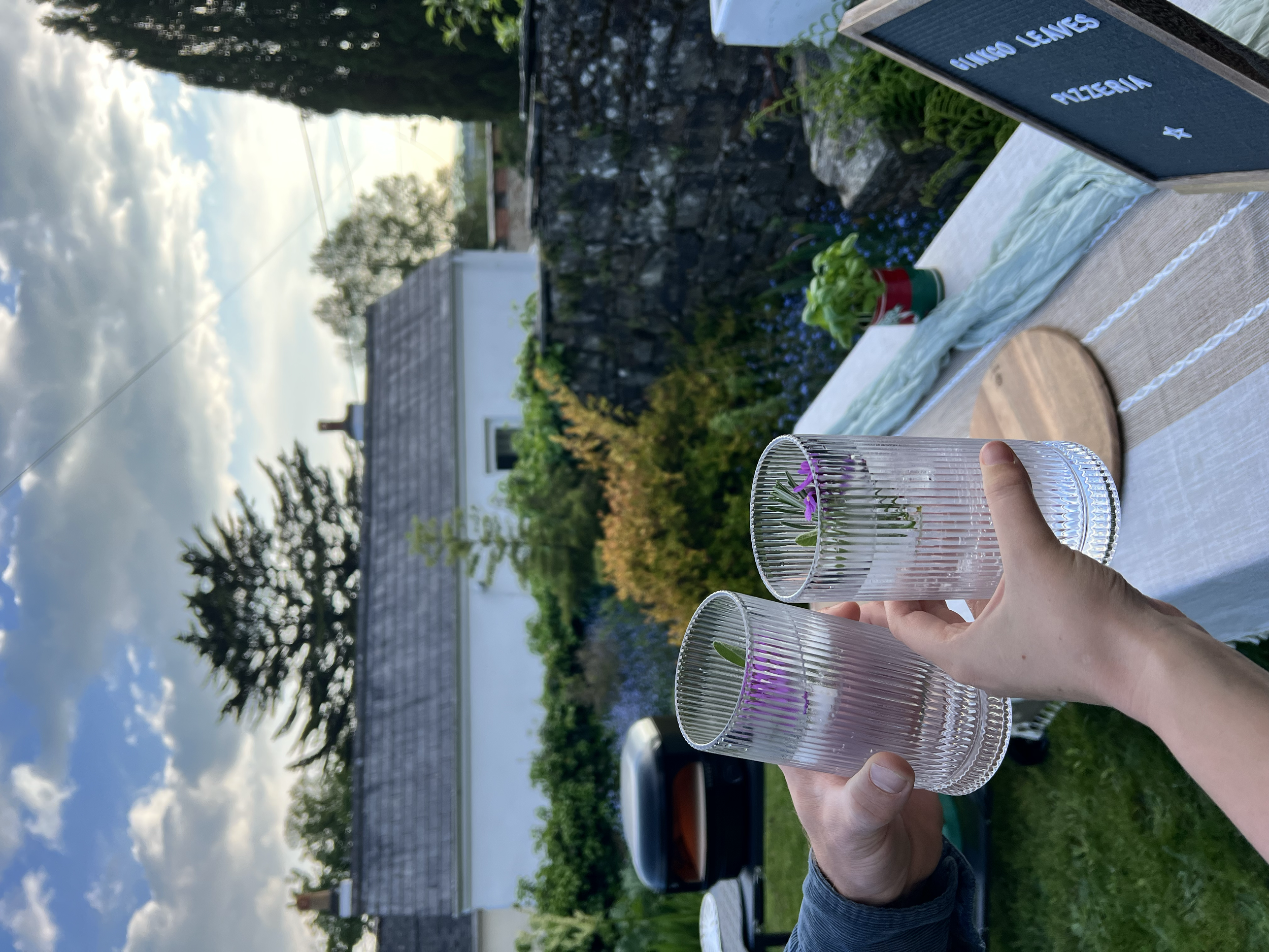 Person holding two empty transparent glasses outdoors on a patio table with a beige tablecloth, with a potted plant with purple flowers next to them, under a partly cloudy sky during daytime.