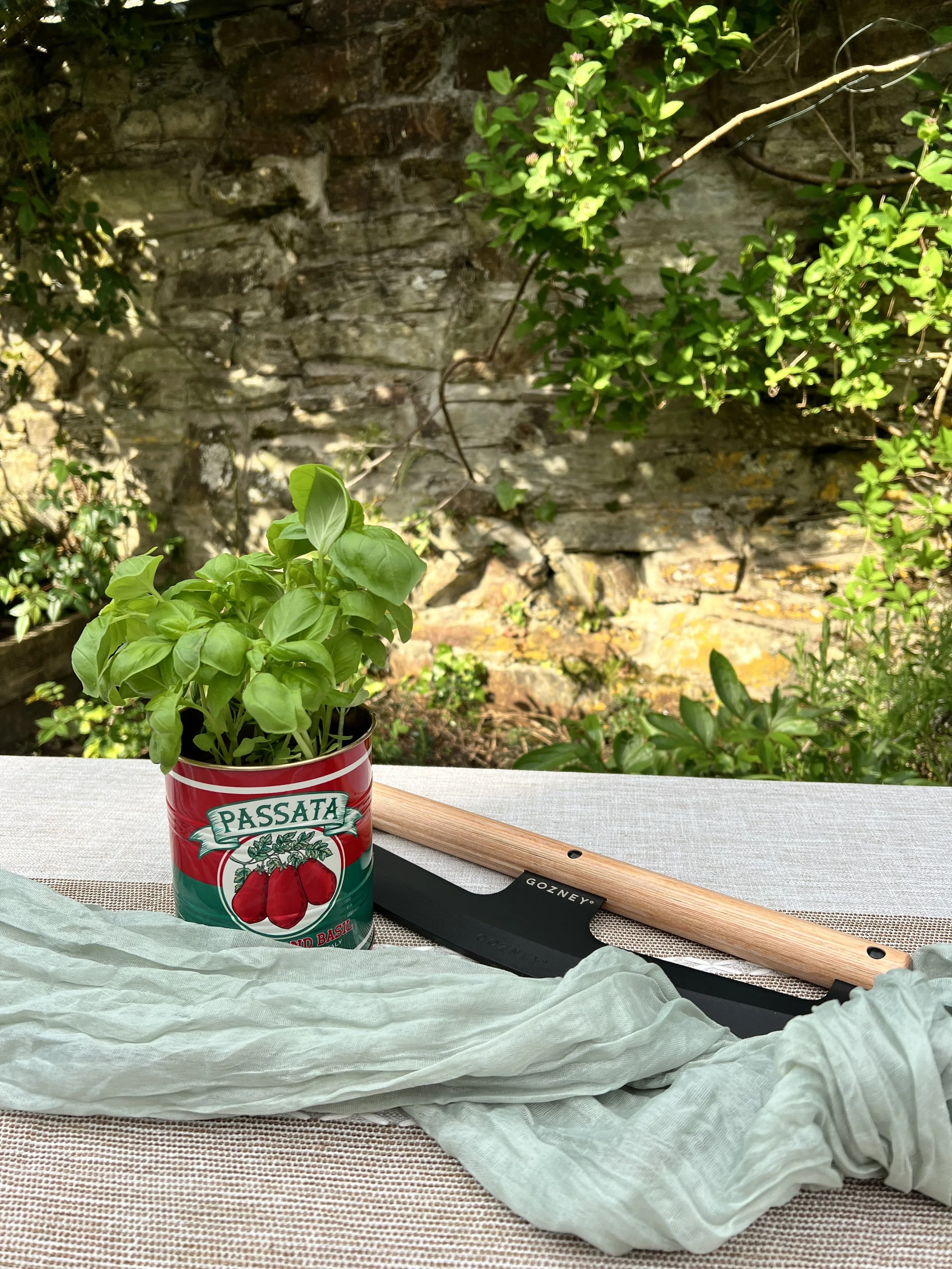 A plant growing inside a repurposed Passata tomato sauce can with basil leaves, a wooden spatula, and a black cutting board on a table with a gray tablecloth, outdoors with a stone wall and greenery in the background.