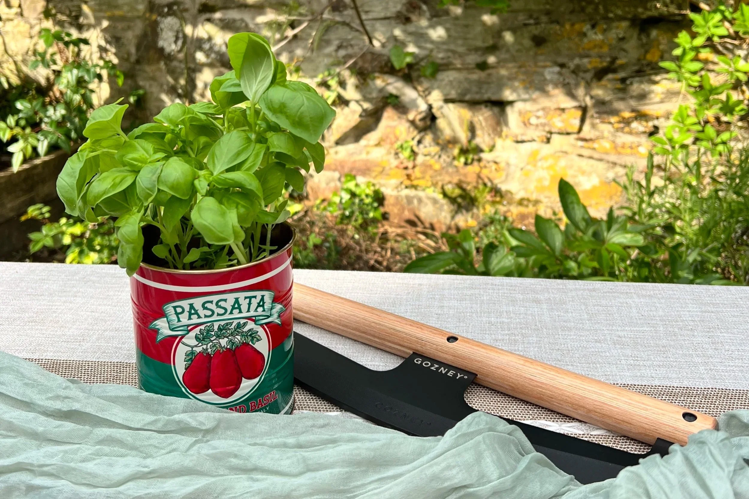 A potted basil plant in a red and green can labeled 'Passata' on a table outdoors, with gardening tools and a stone wall in the background.